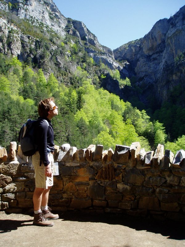 Selva Planako behatokia