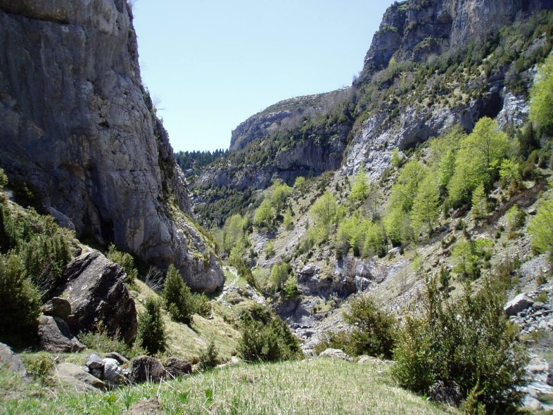 Añiscloko arroilaren goialdea