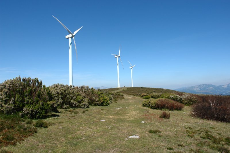 Mendebaldeko bizkarra