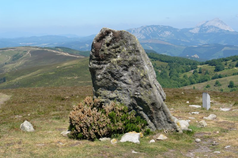 Mugarriluze zutarria