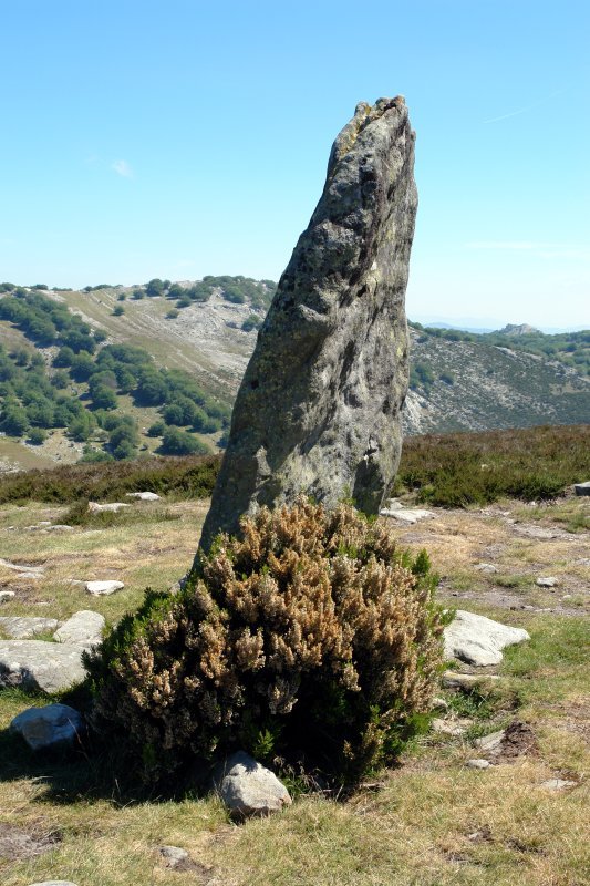 Mugarriluze zutarria