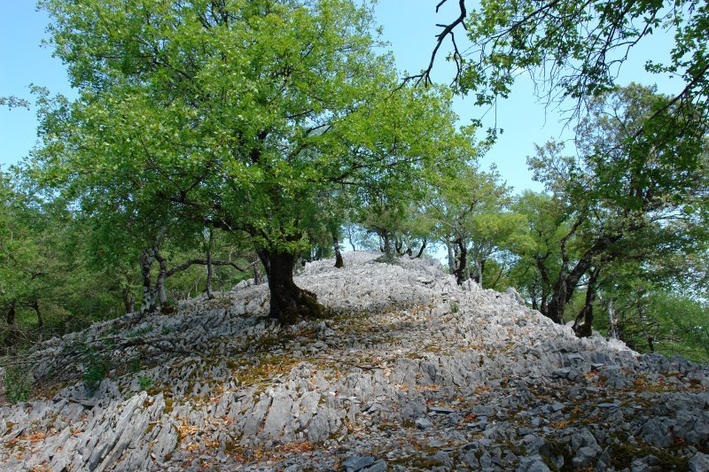Lapar: hegoaldeko bizkarra