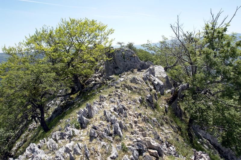 Gandorreko pasarte bat