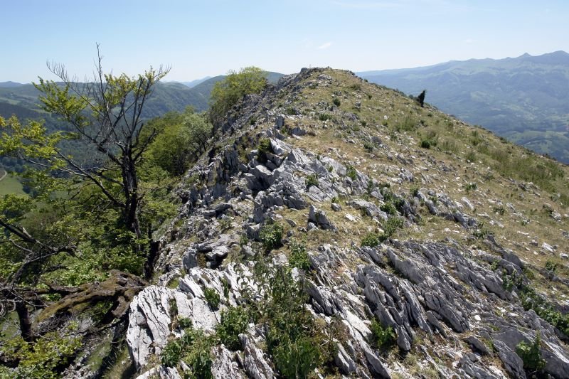 Tontorra mendebaldetik