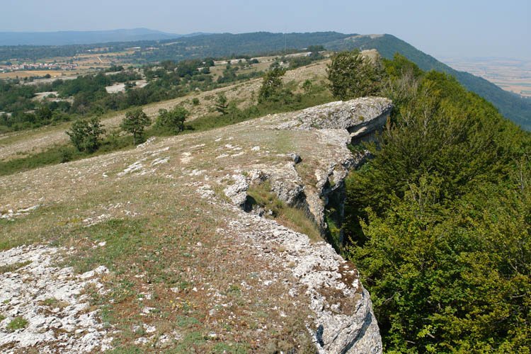 Mendebaldeko gandorra