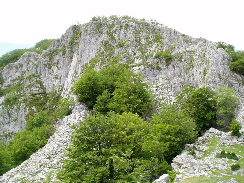 Kargaleku aldera erakusten dituen hormak