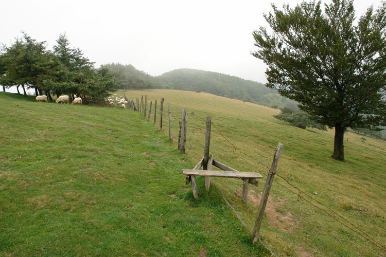 Tontorraren inguruak