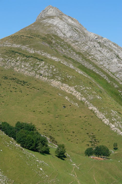 Muitze aldeko isurialdea