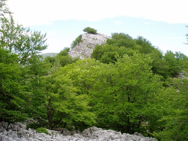 Kutxak iparraldetik ikusita