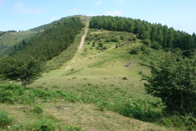 Samiño Pagola aldetik ikusita