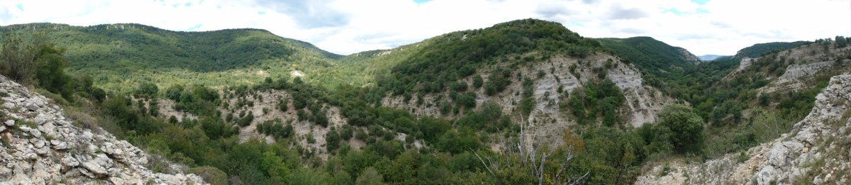 Irantzuko haran basatia