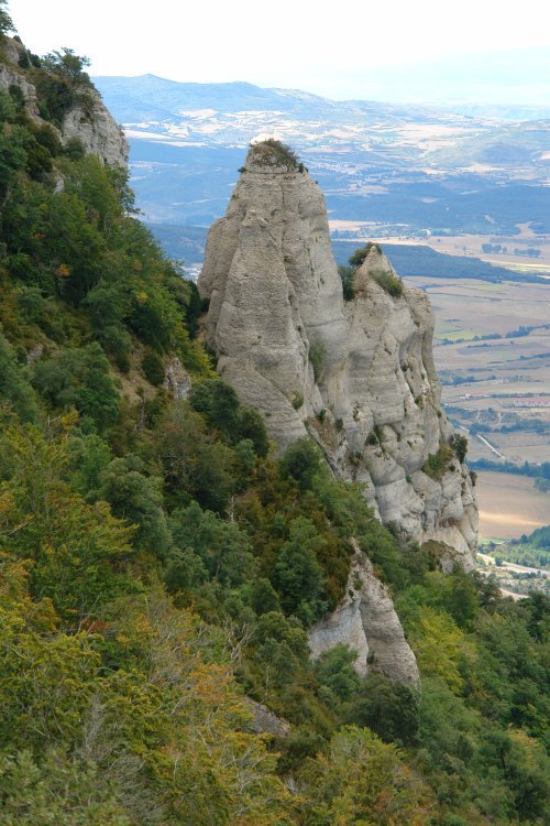 Artabia aldeko haitza