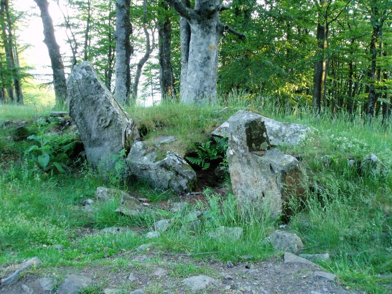 Intsusburuko trikuharria