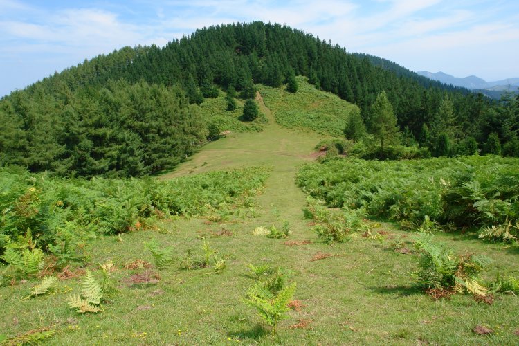 Garagoiti, Akondia aldetik ikusita