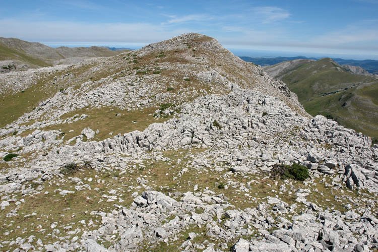 Tontorra hegoaldetik