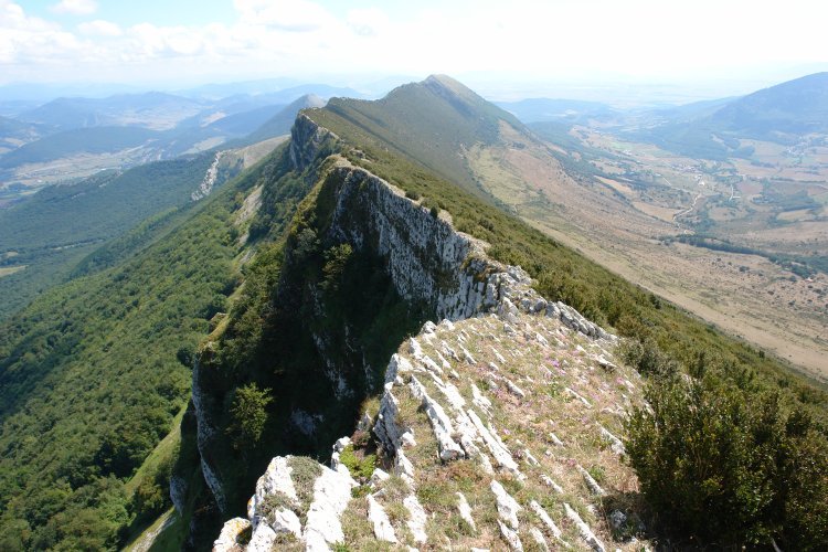 Txurregi aldera begira. Ekialdeko gandorra (VII).