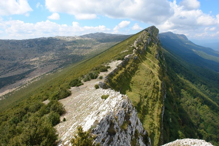 Ekialdeko gandorra (IX)