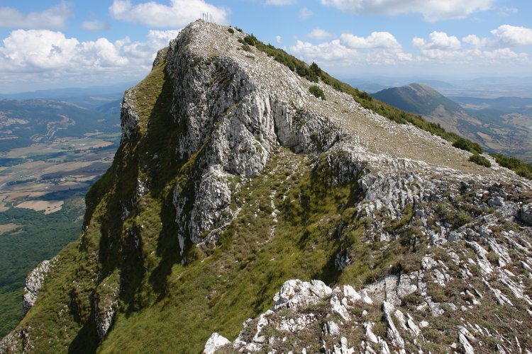 Tontorra mendebaldetik