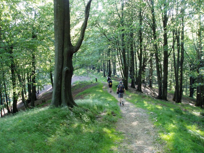 Irumugarrieta eta Txaradigorri areko bidea