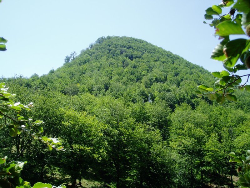 Aasko Lizarrustitik ikusita