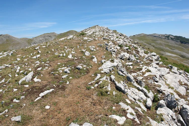 Tontorra mendebaldetik