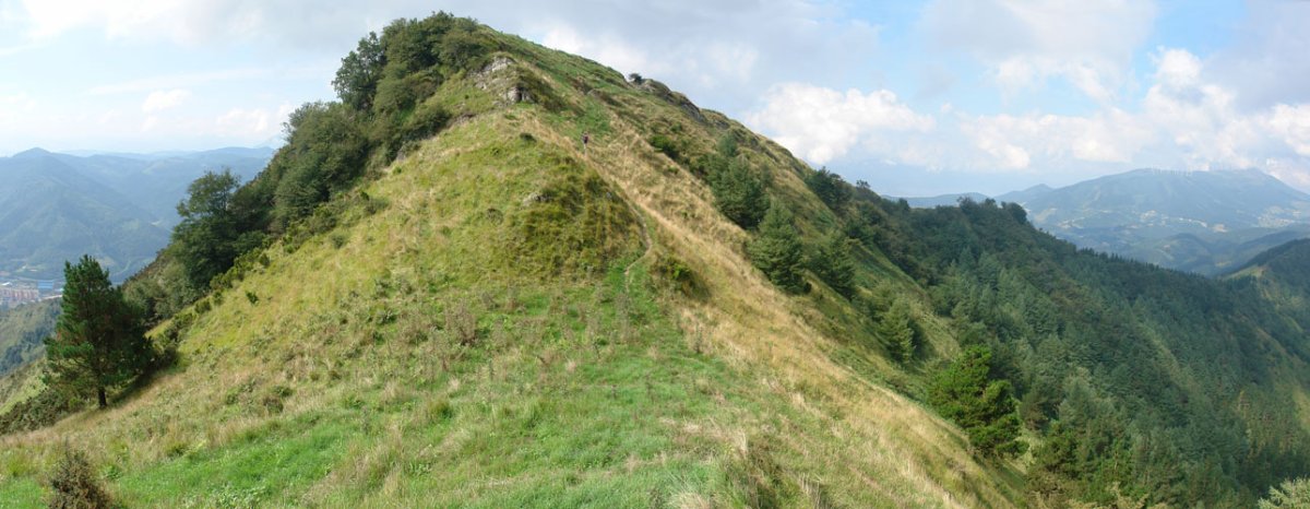 Tontorra Iparraldetik