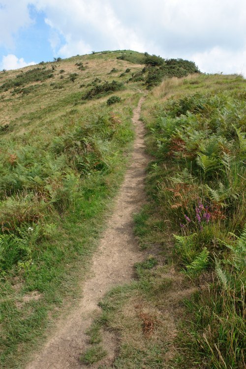 Hegoaldeko bizkarreko bidea