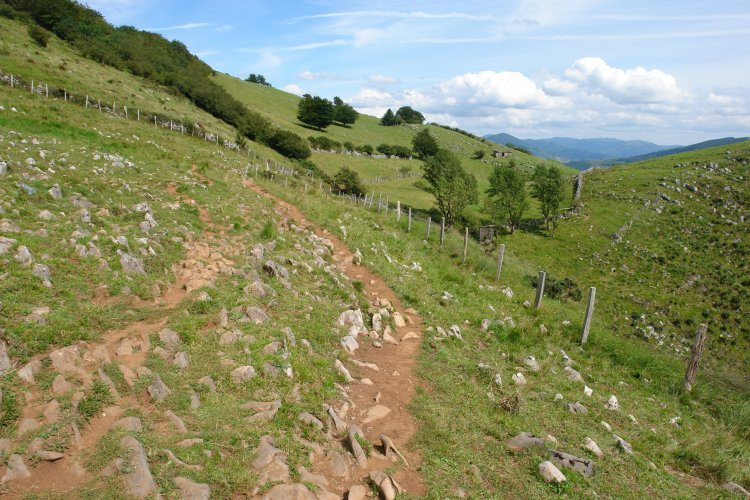 Gurutzera datorren bidea