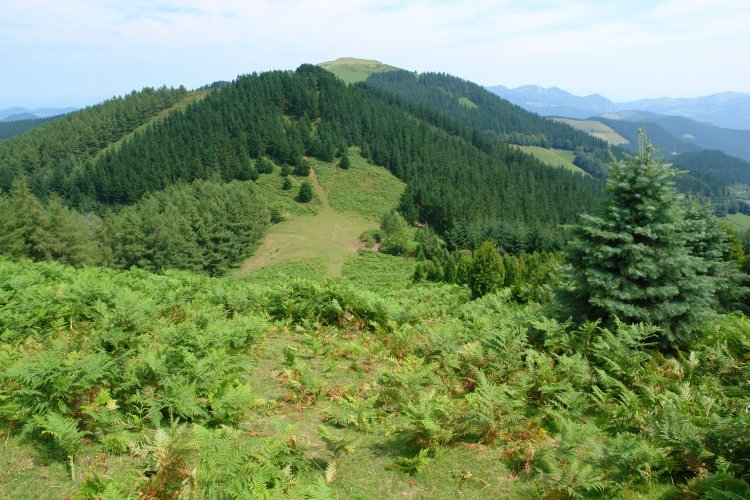 Garagoiti aldera begira