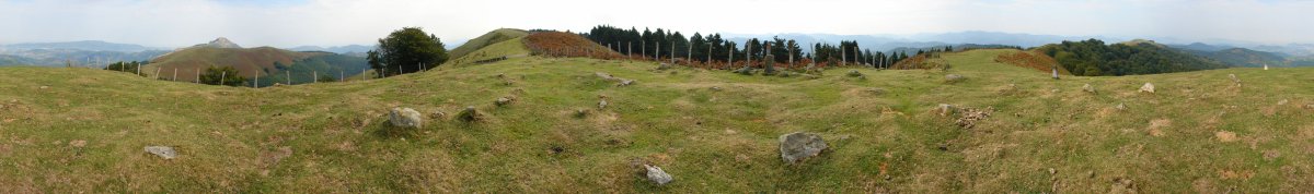 Irumugarrietako mairubaratzak