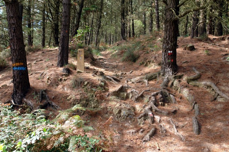 Hiru ibilbideren arrastoak