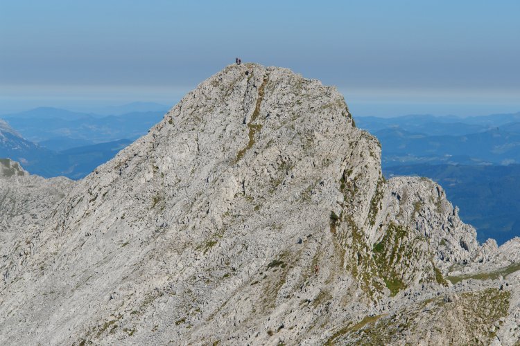 Tontorra ekialdetik ikusita