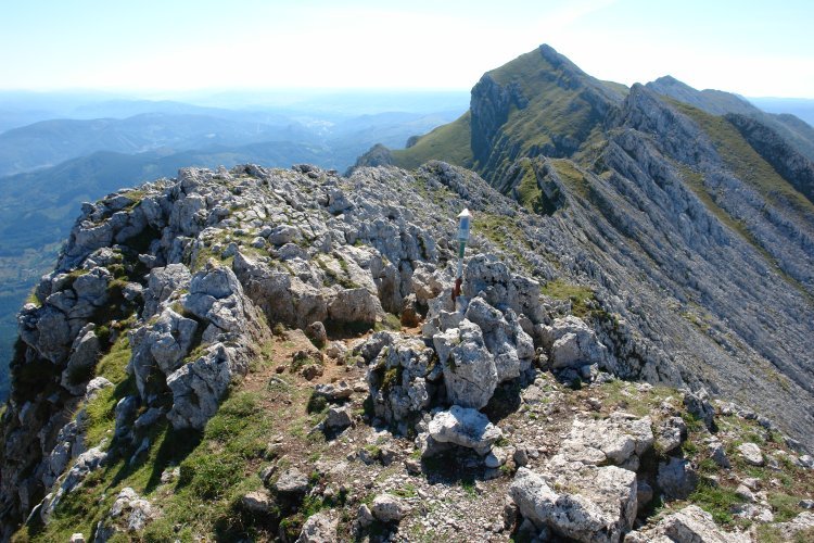 Tontorra eta ekialdeko ikuspegia