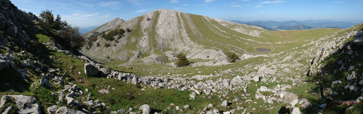 Biozkorna (E) aldetik ikusita