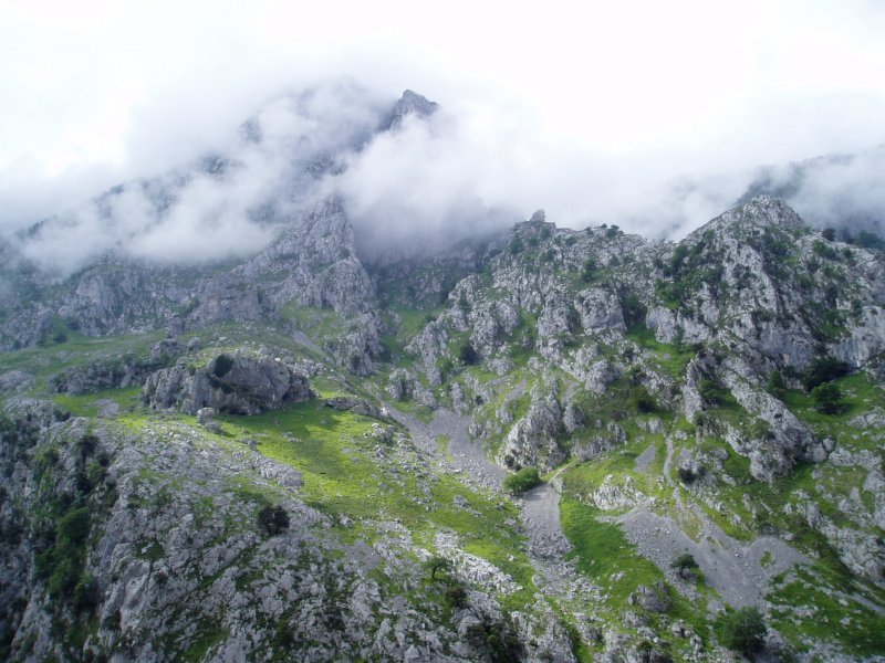 Tontorrak laino artean