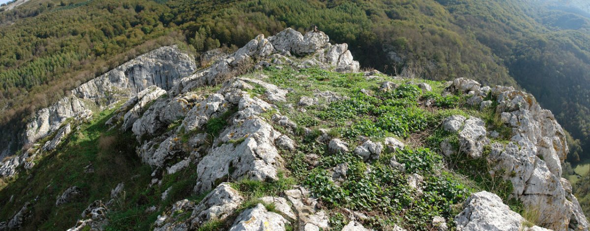 Gazteluaitz tontorra