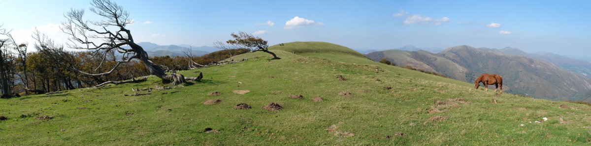 Gain aldeko panoramika