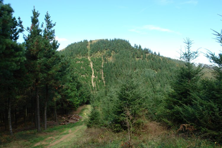 Gazteluaitz, hegoaldetik