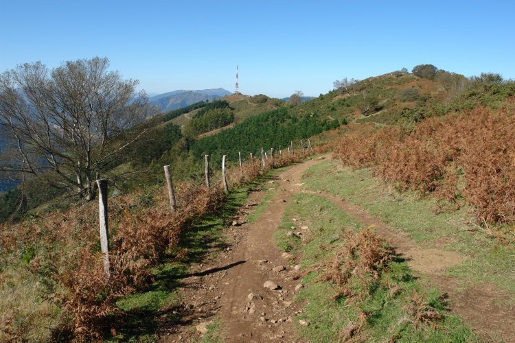 Ekialdetik heldu den bidea