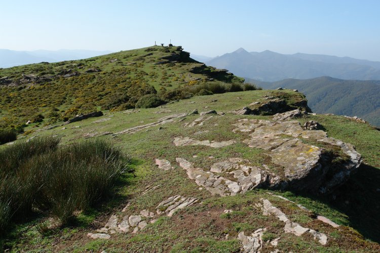 Tontorra IMko ertzetik