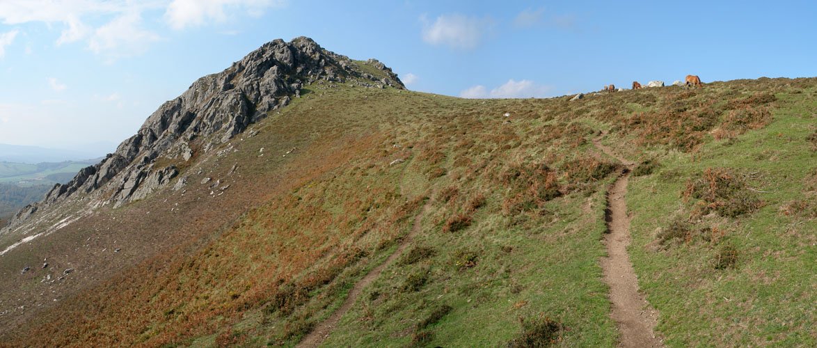 Iparrekialdetik ikusita