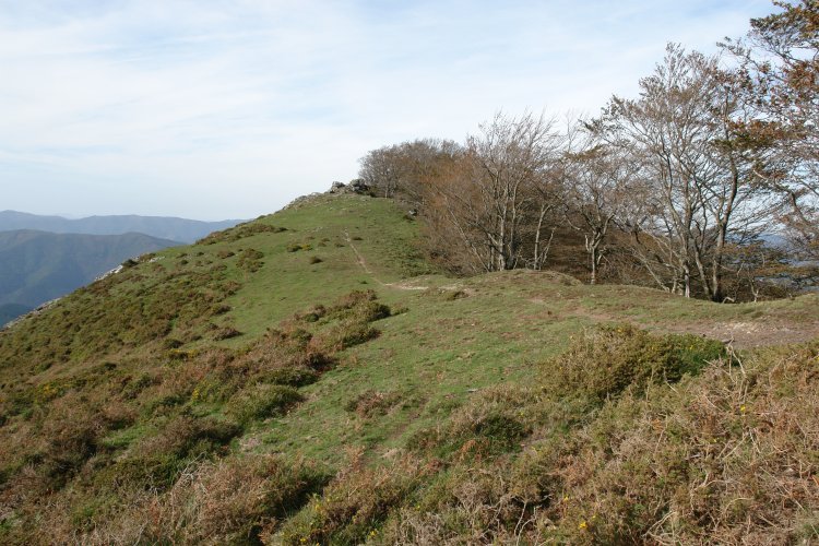 Asketa tontorra HEtik