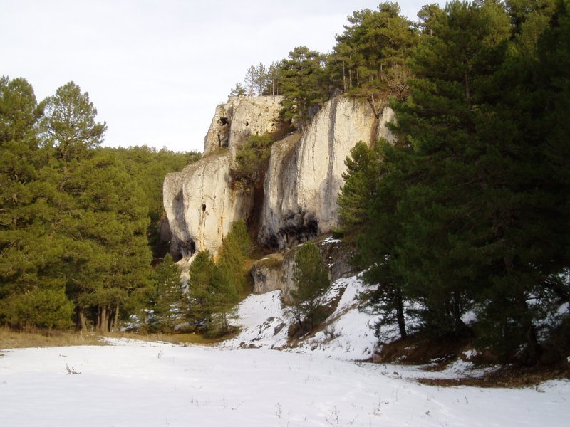 Arroilaren goialdeko paisaia