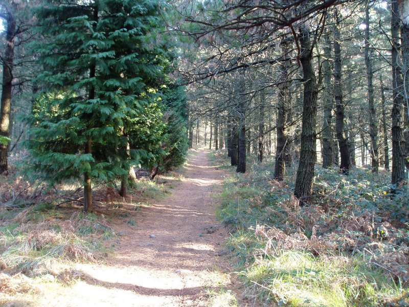 Hego-mendebaldeko bizkarreko bidea