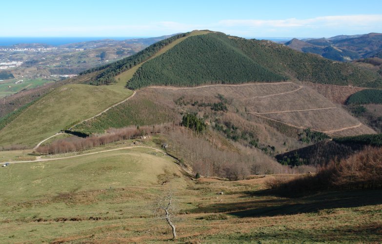 Aballarri aldetik ikusita