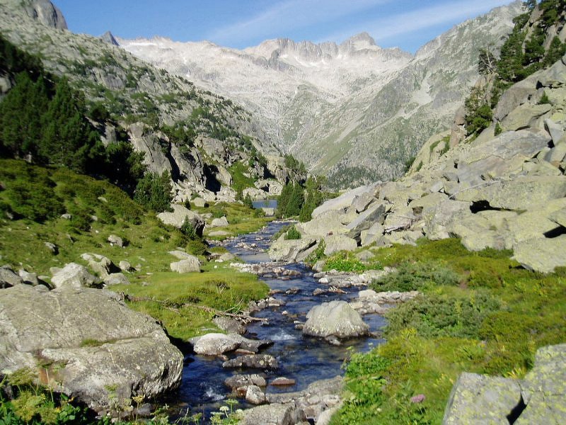 Colieto bailaratik ikusita