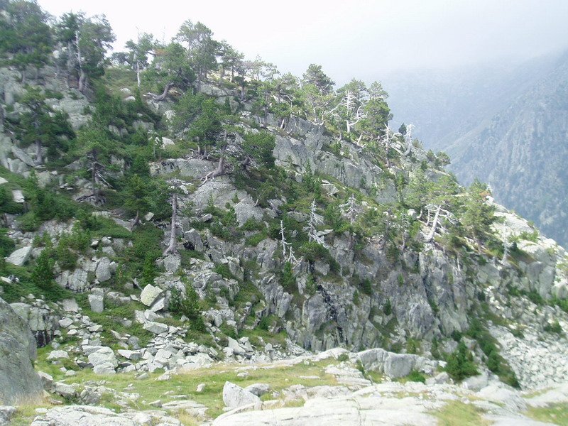 Ventosa i Calvell aterpearen inguruan