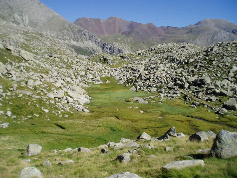 Colomina aterpearen inguruan