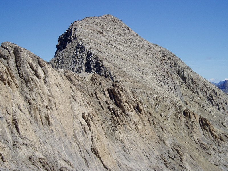 Astazou lepotik ikusita