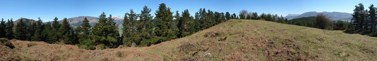 Gainaldeko panoramika